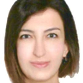 Doç. Dr. Meltem Gürü